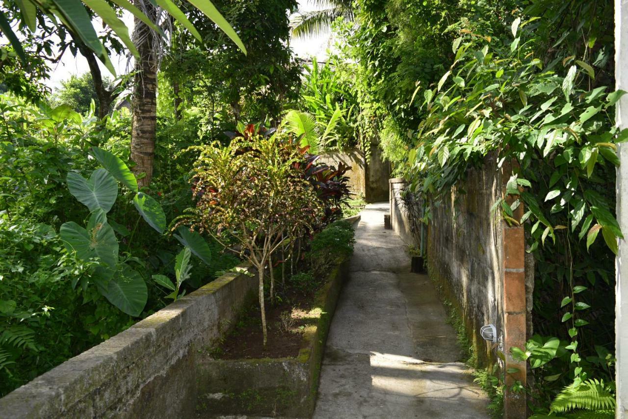 Villa Bindi Ubud Dış mekan fotoğraf